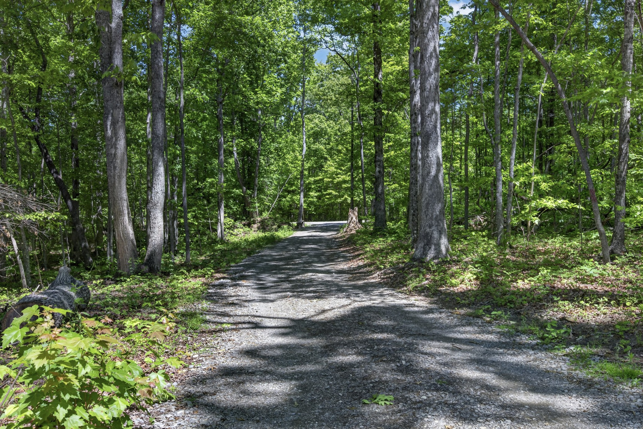 55236 Maynard Ridge Lane Crawford TN 38554