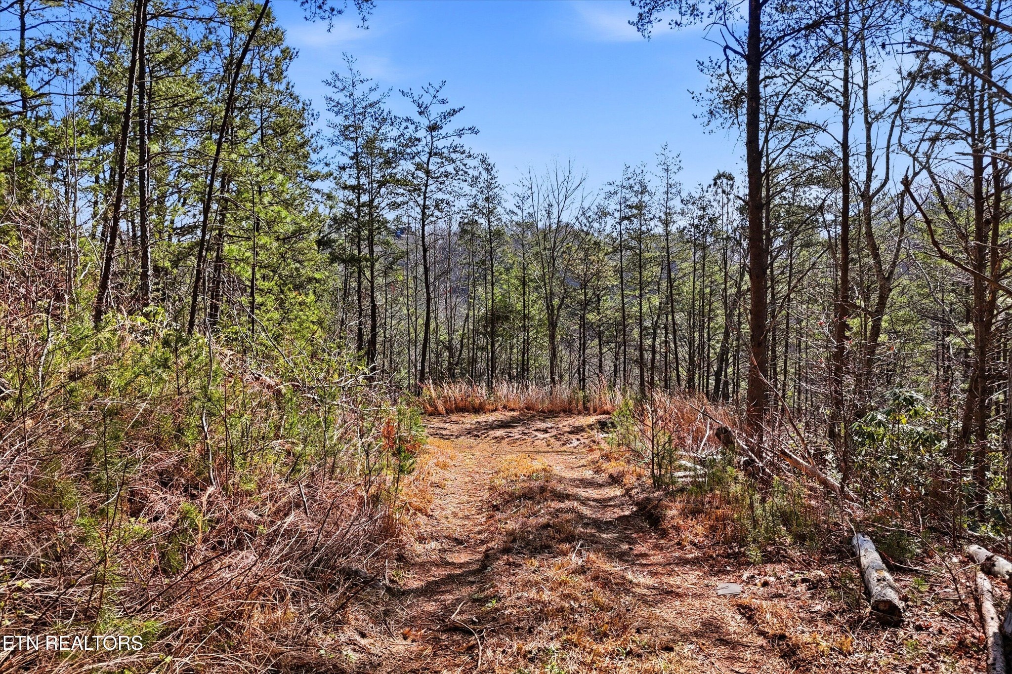 0 Lot 314r Duck Hollow Road Gatlinburg TN 37738