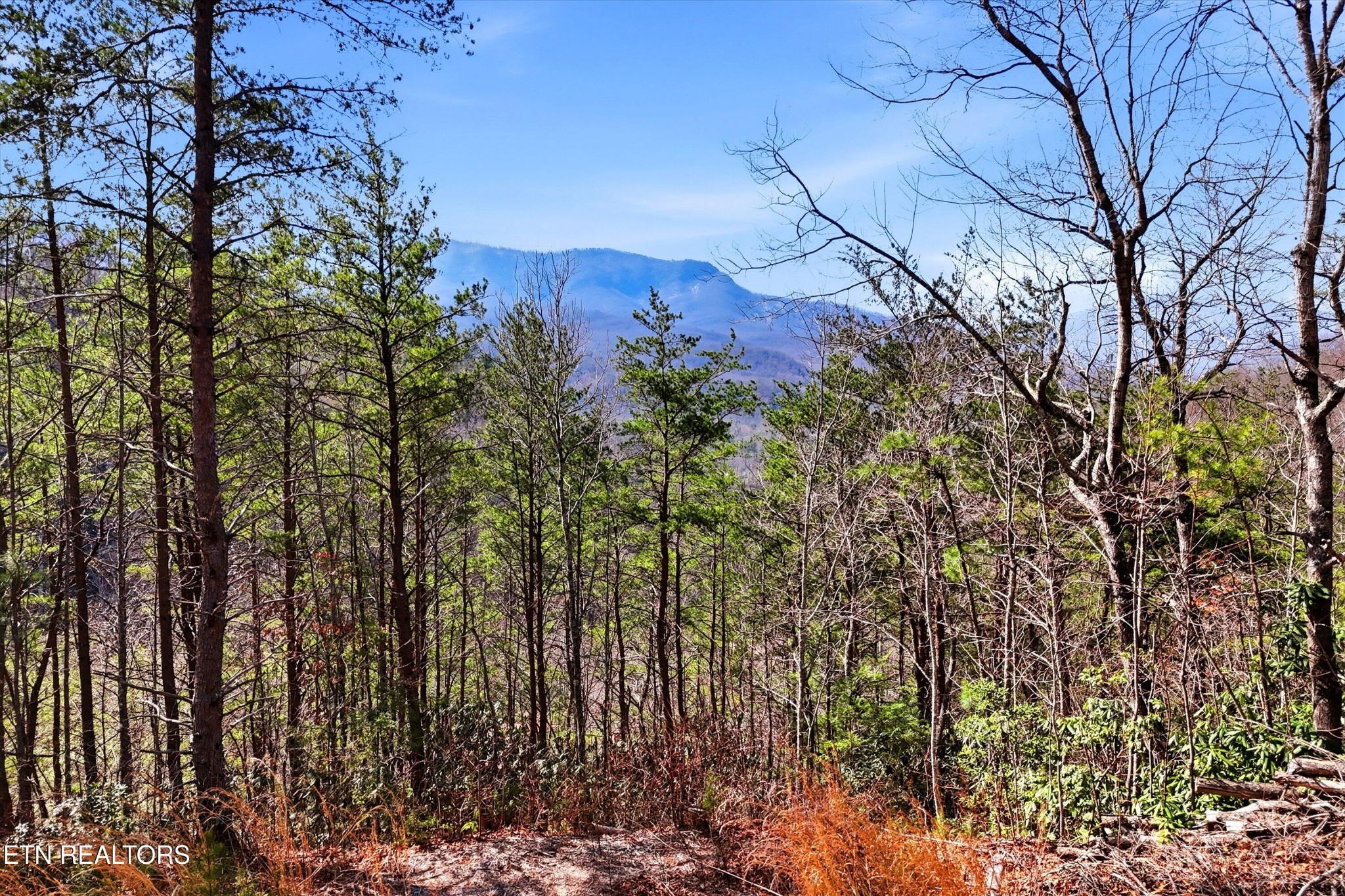 0 Lot 314r Duck Hollow Road Gatlinburg TN 37738