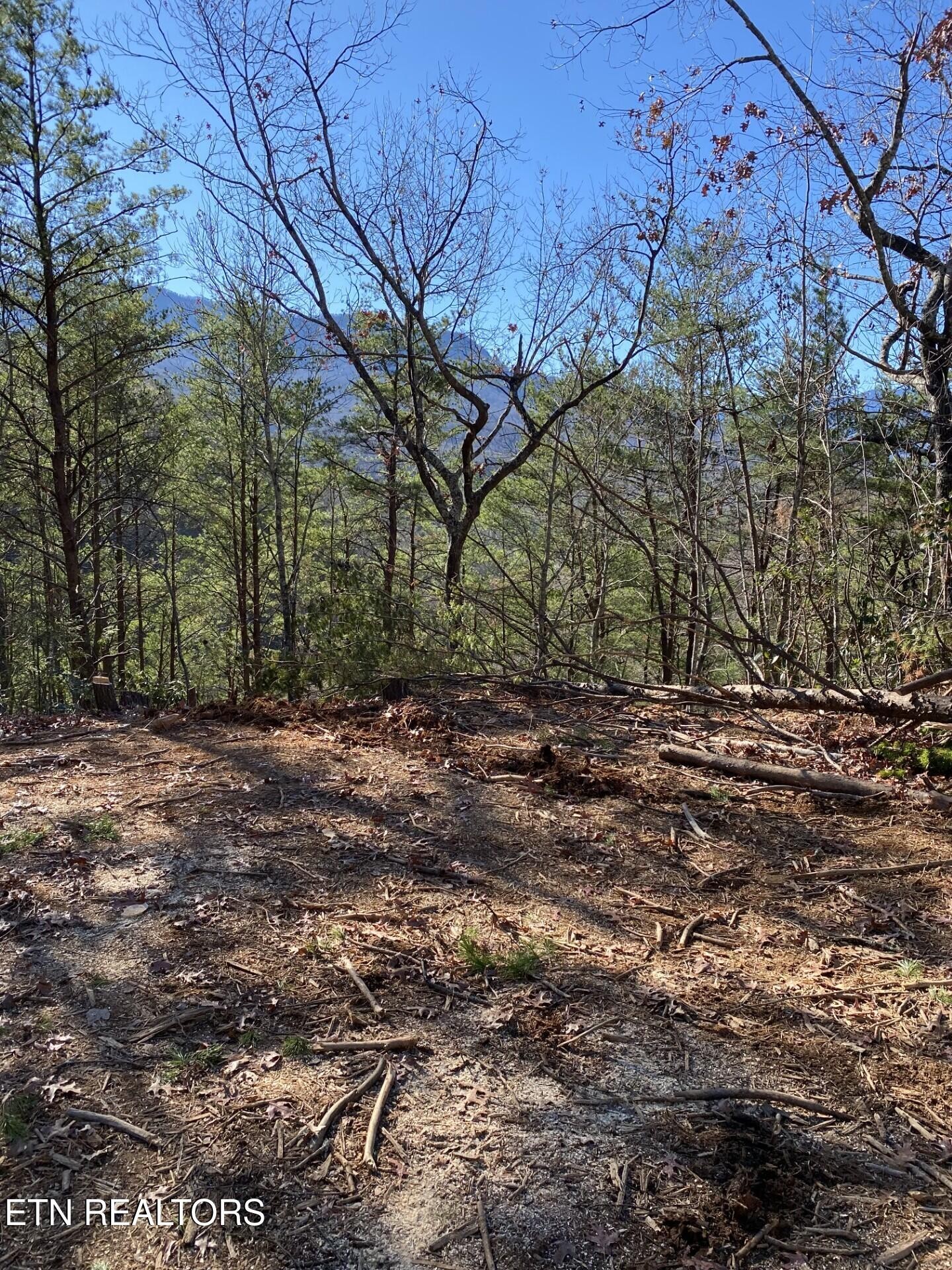 0 Lot 314r Duck Hollow Road Gatlinburg TN 37738