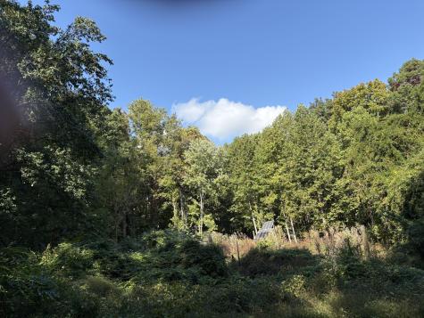 1431 Roarks Cove Road Sewanee TN 37375