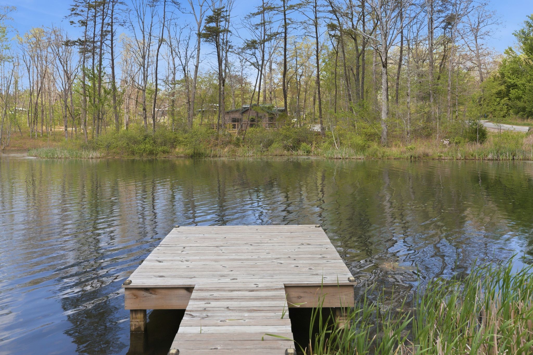 84 Lillypad Lane Tracy City TN 37387