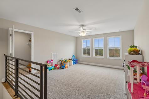 114 Ruby Grant Lane Southside TN 37171