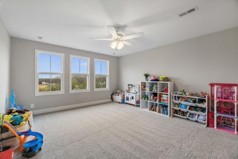 114 Ruby Grant Lane Southside TN 37171