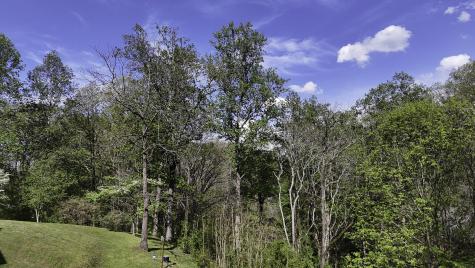 1650 Cash Canyon Road Chattanooga TN 37419