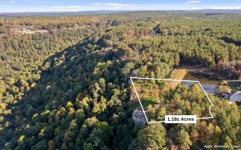 22 Moonshine Drive Jasper TN 37347
