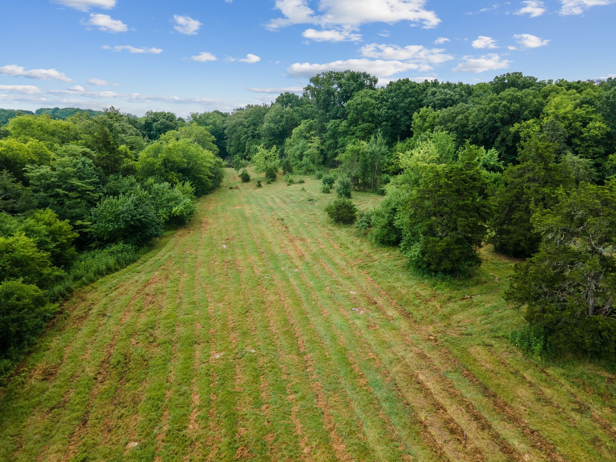 0 Double Branch Road Columbia TN 38401