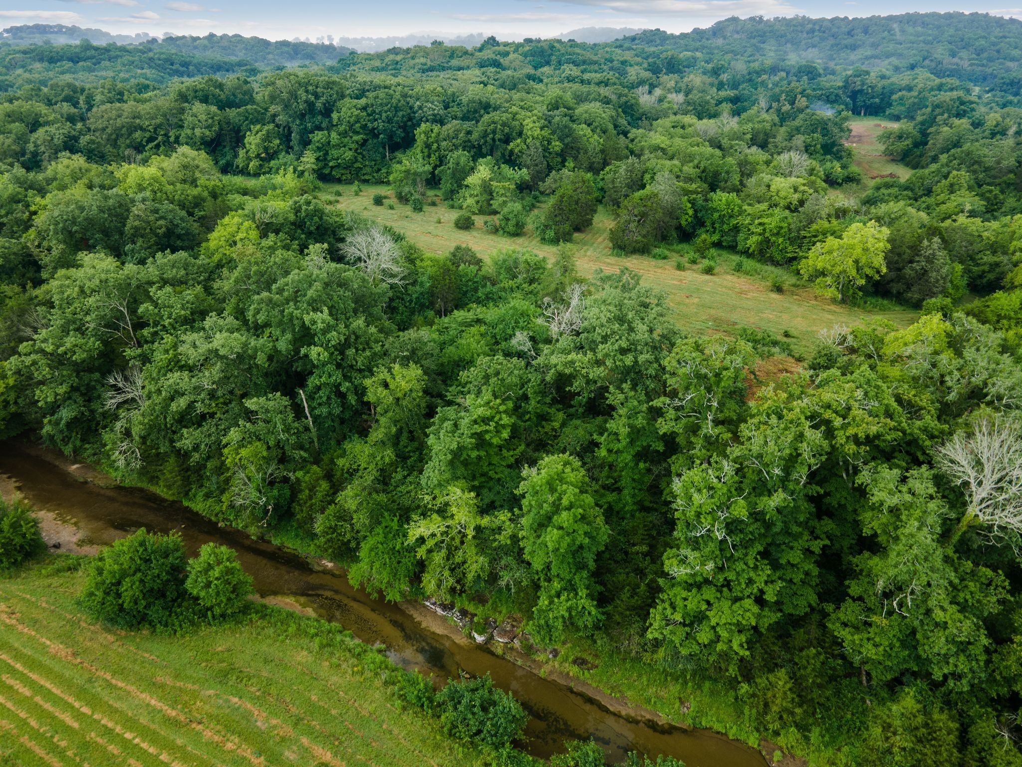 0 Double Branch Road Columbia TN 38401