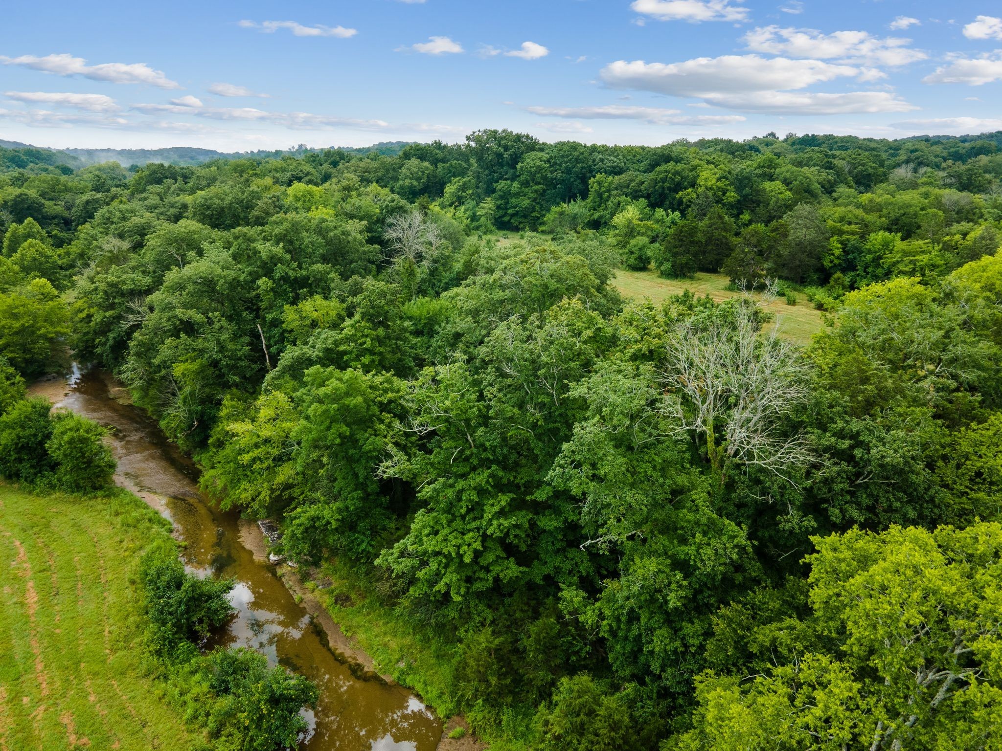 0 Double Branch Road Columbia TN 38401