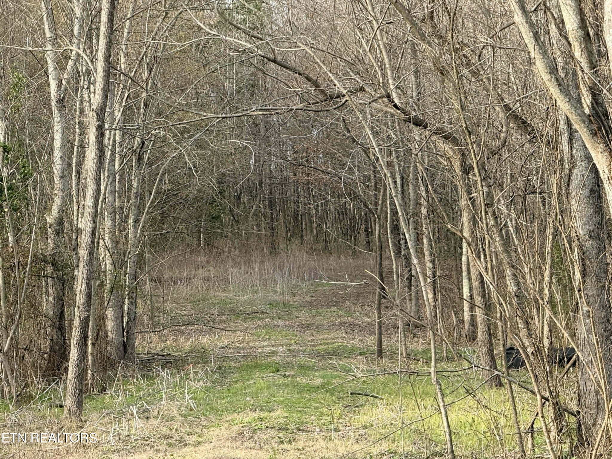 1115 Frank Campbell Road Jamestown TN 38556