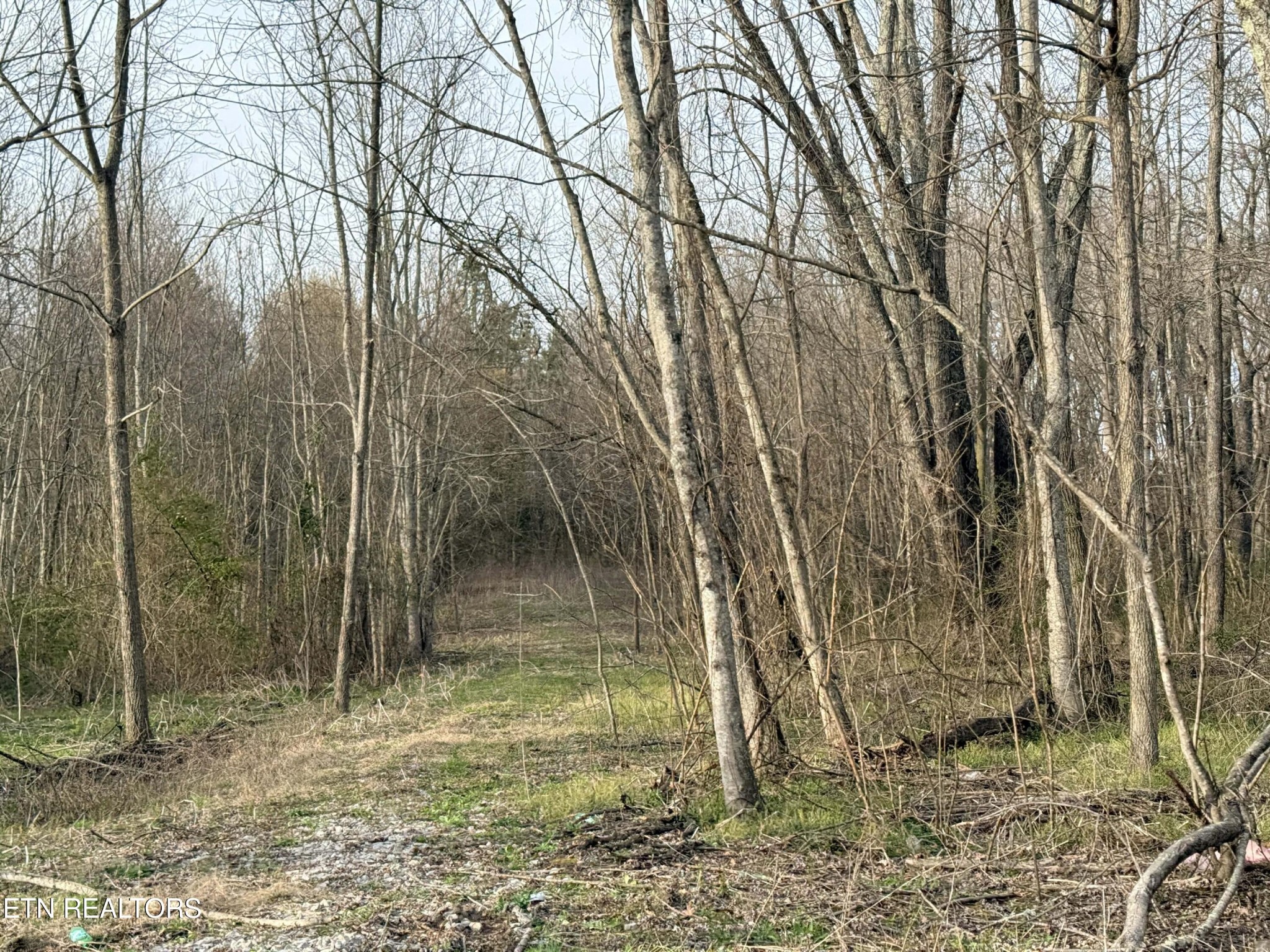 1115 Frank Campbell Road Jamestown TN 38556