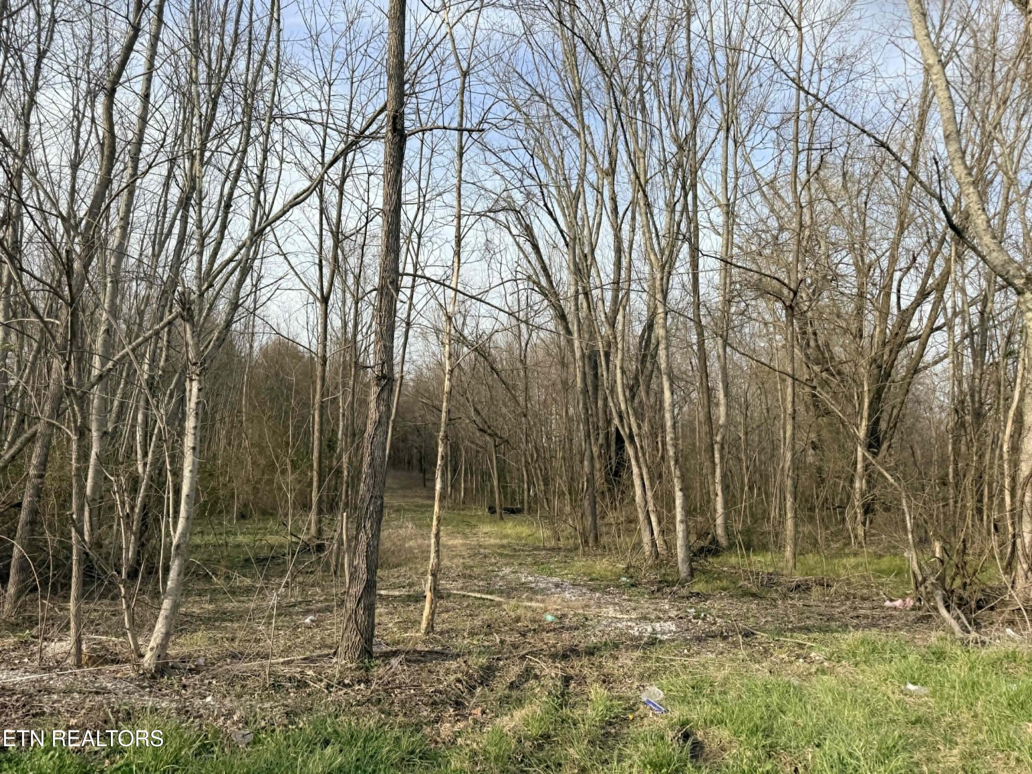 1115 Frank Campbell Road Jamestown TN 38556