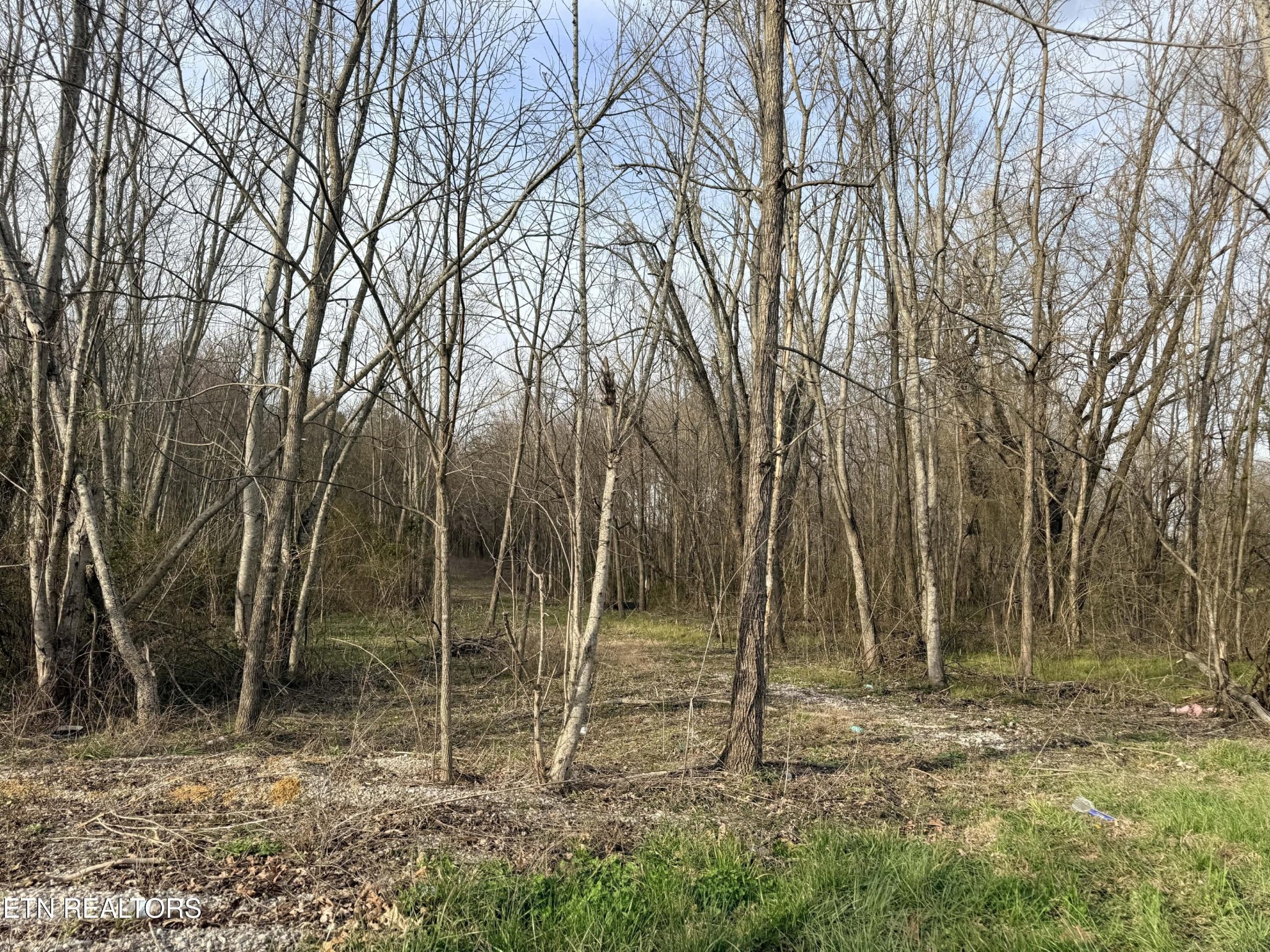 1115 Frank Campbell Road Jamestown TN 38556