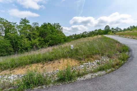 0 Mallard Lane Hilham TN 38568