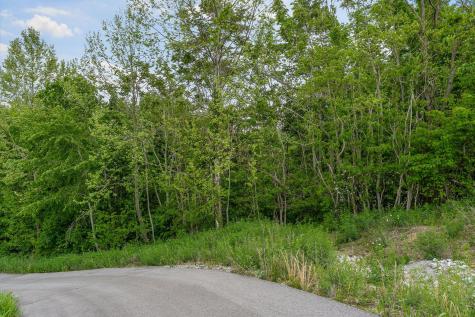 0 Mallard Lane Hilham TN 38568