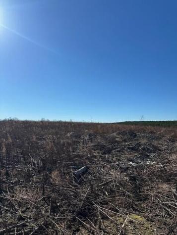 4 50th Avenue Gruetli Laager TN 37339