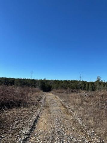 4 50th Avenue Gruetli Laager TN 37339