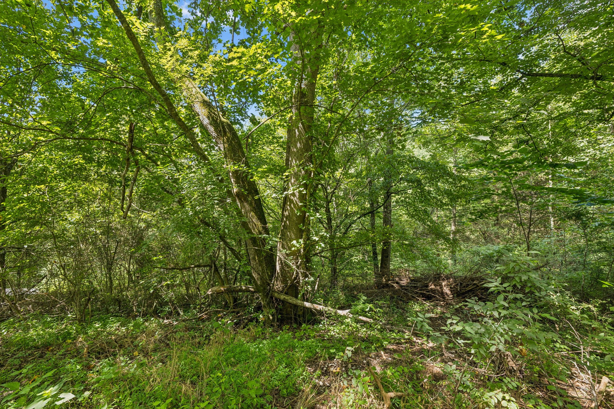 0 Roberts Ridge Manchester TN 37355
