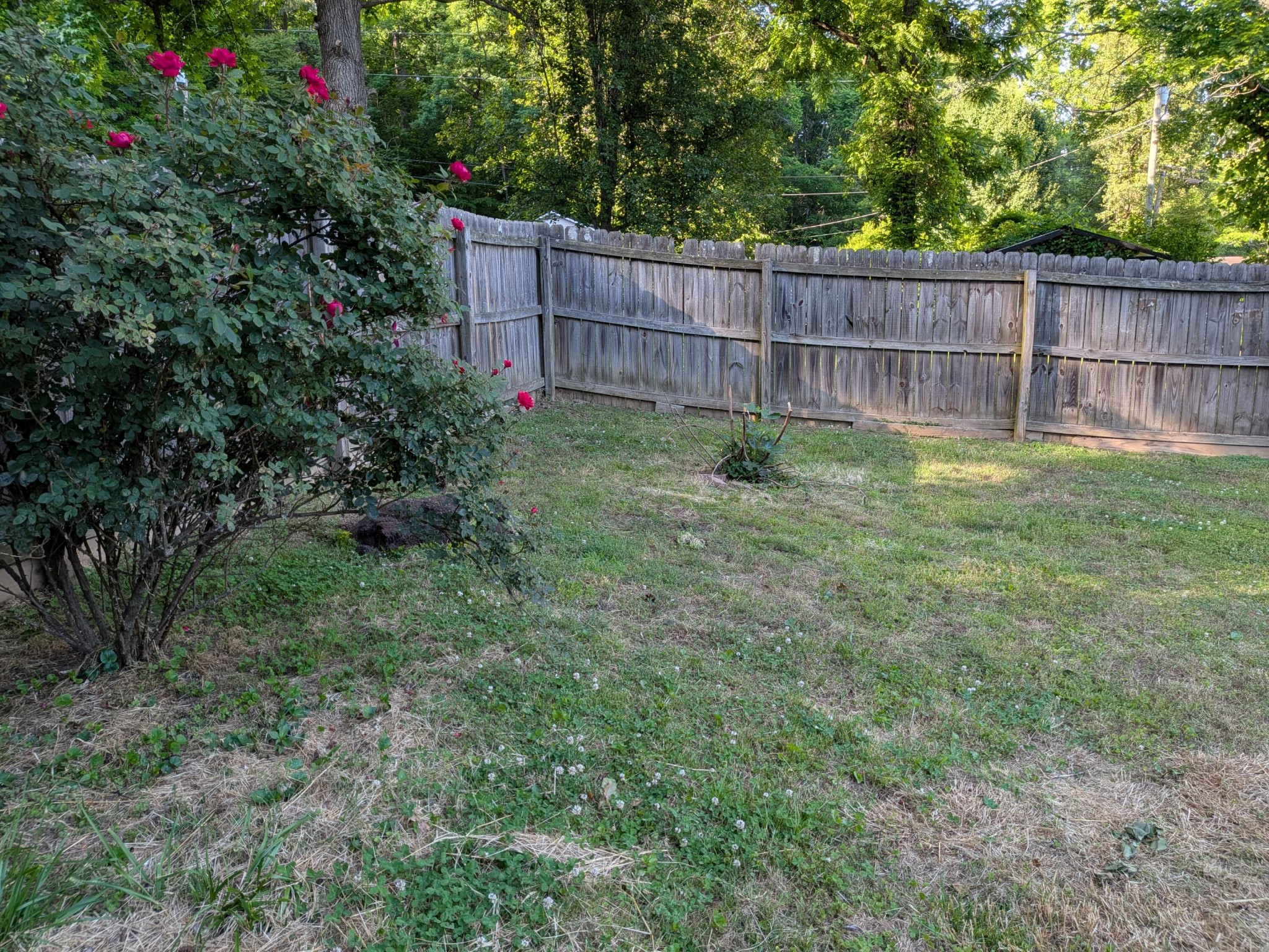 220 Riddle Street Dayton TN 37321