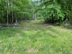 5450 Highway 49, W Vanleer TN 37181