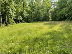 5450 Highway 49, W Vanleer TN 37181