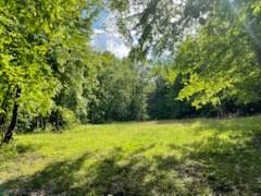 5450 Highway 49, W Vanleer TN 37181
