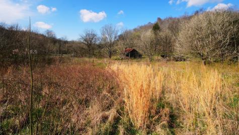 126 Carpenter Road Dellrose TN 38453