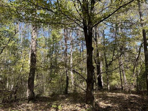 0 Camp Road Hohenwald TN 38462