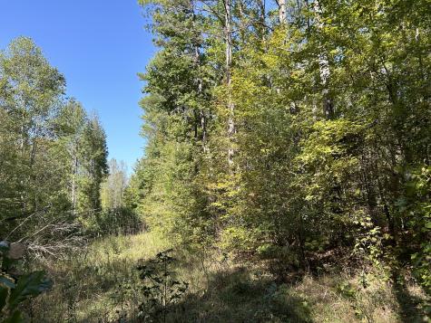 0 Camp Road Hohenwald TN 38462