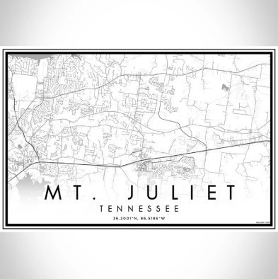 1172 Sydney Terrace Mount Juliet TN 37122