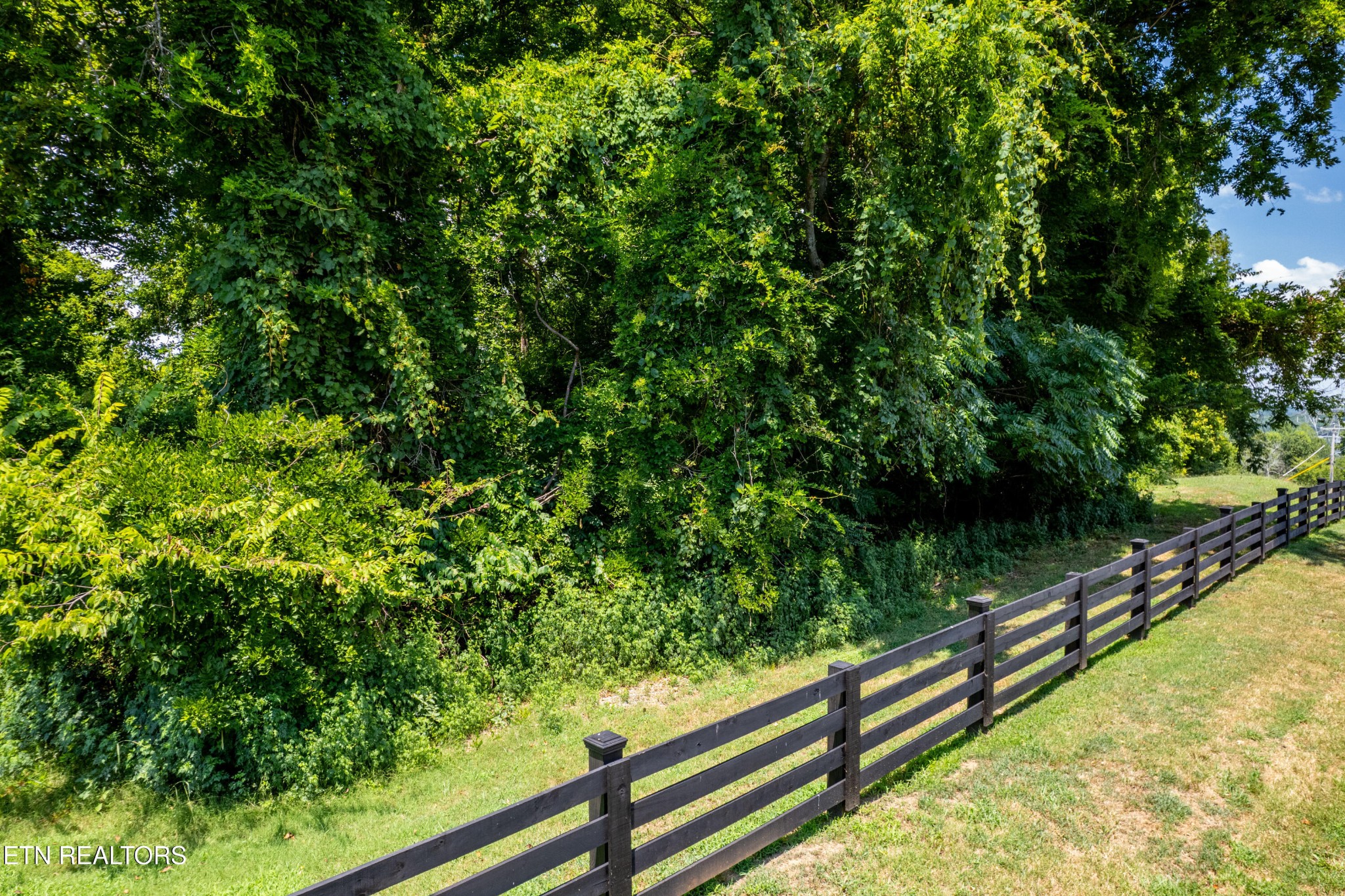 11 Rankin Ferry Loop Louisville TN 37777