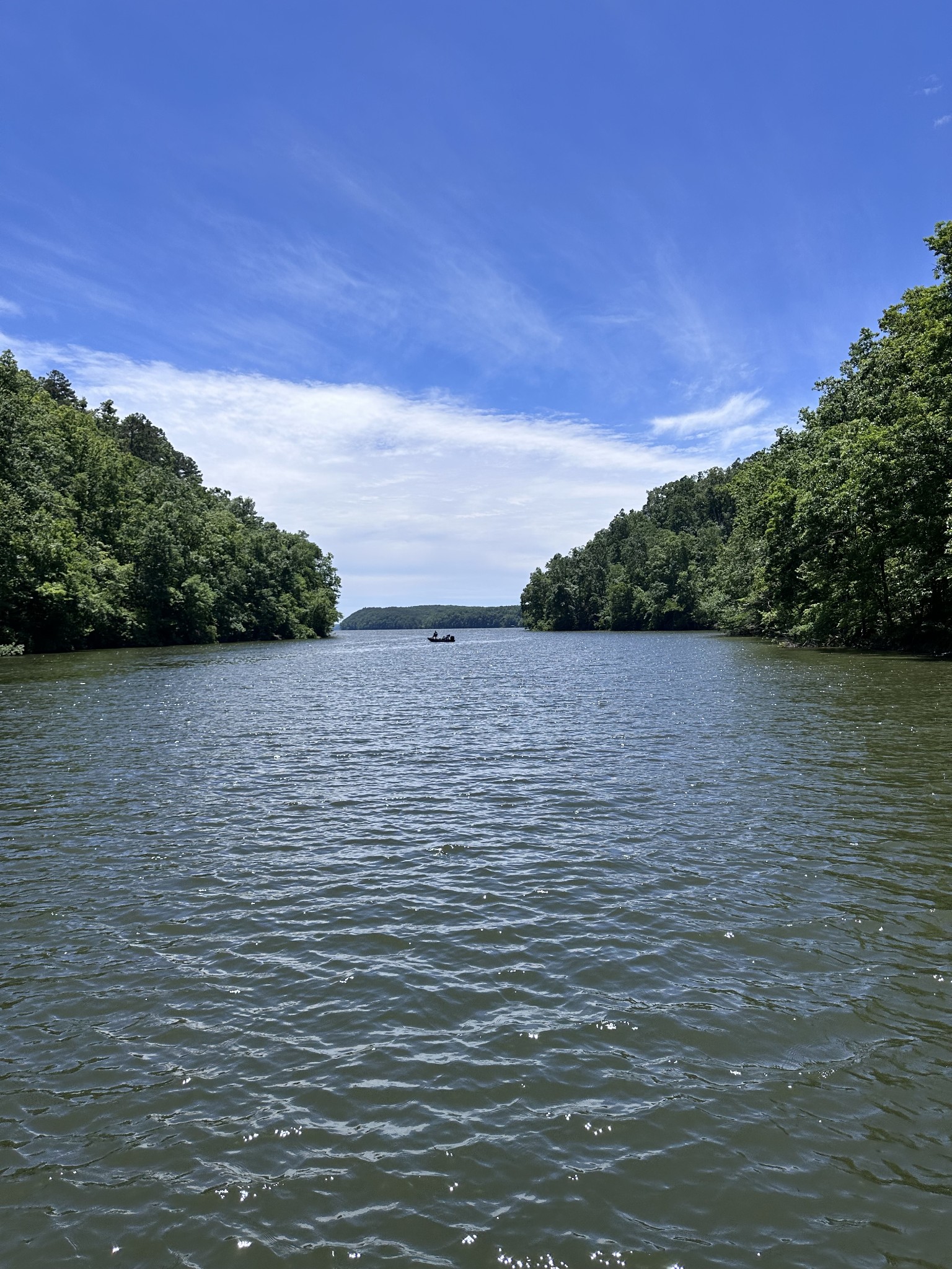 0 Crescent Lane Savannah TN 38372