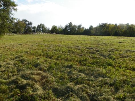 0 Bunker Hill Road, S Sparta TN 38583