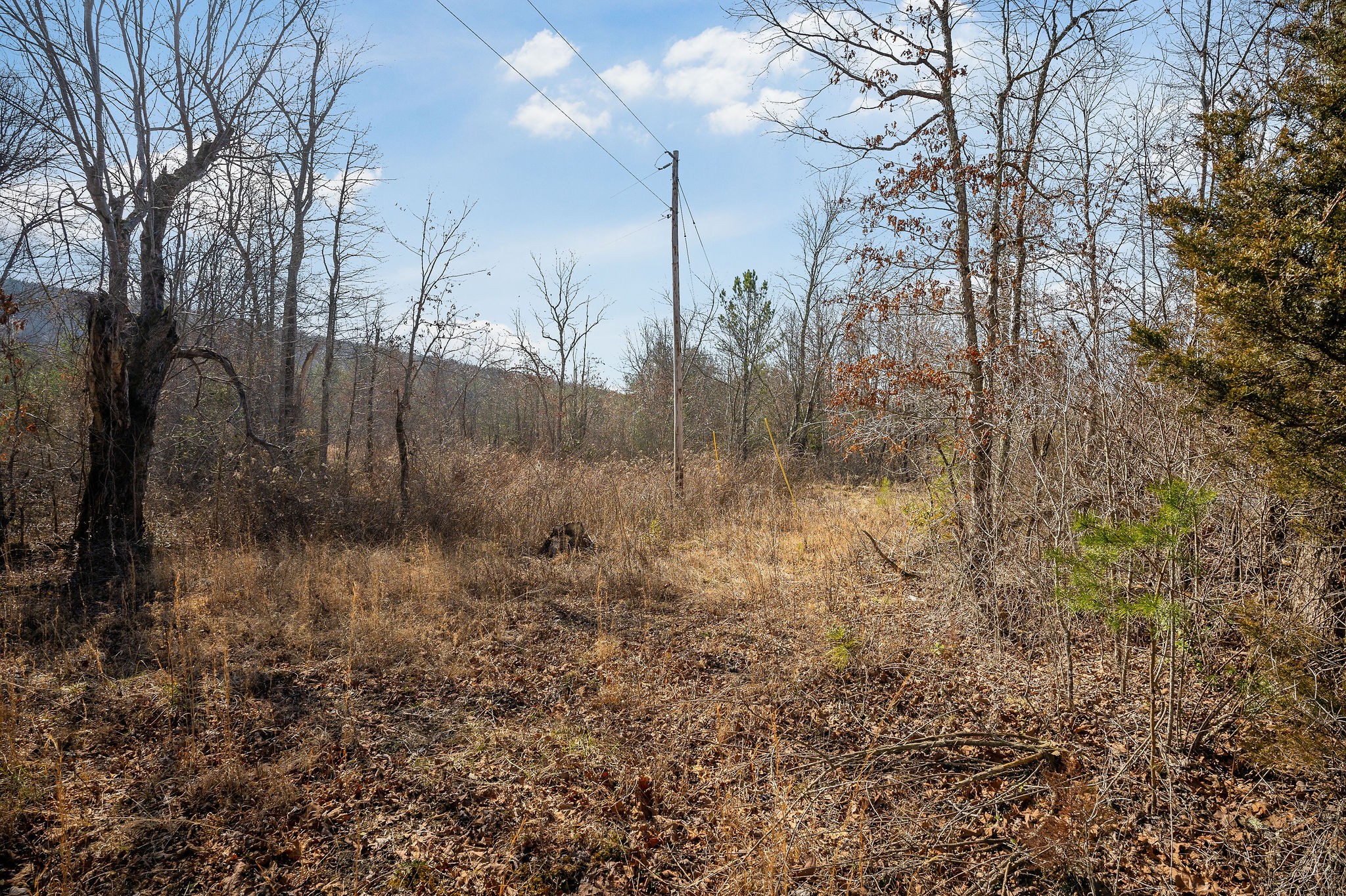 0 Hebbertsburg Road Crab Orchard TN 37723