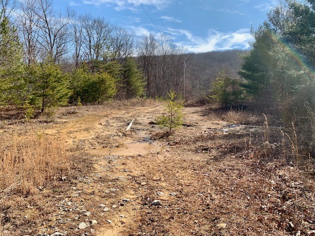 0 Hebbertsburg Road Crab Orchard TN 37723