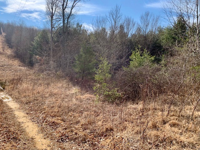 0 Hebbertsburg Road Crab Orchard TN 37723