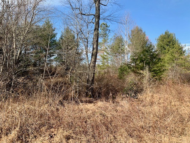0 Hebbertsburg Road Crab Orchard TN 37723