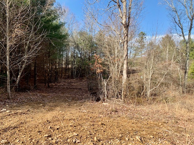 0 Hebbertsburg Road Crab Orchard TN 37723