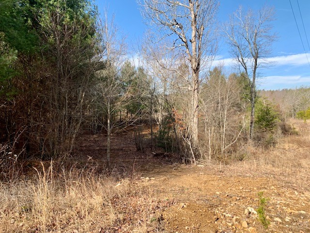 0 Hebbertsburg Road Crab Orchard TN 37723