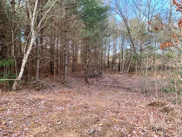 0 Hebbertsburg Road Crab Orchard TN 37723