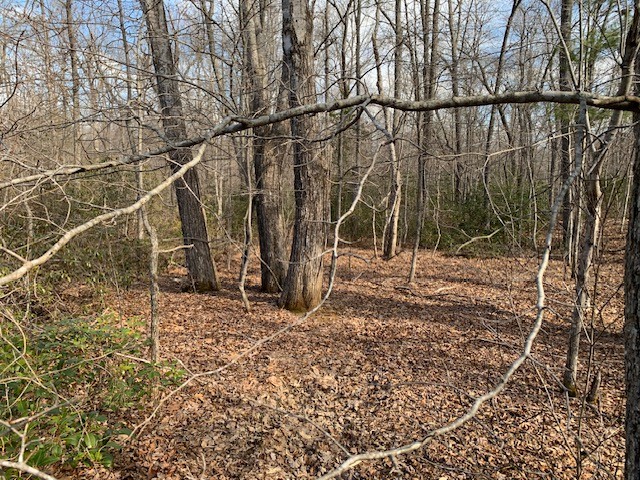 0 Hebbertsburg Road Crab Orchard TN 37723