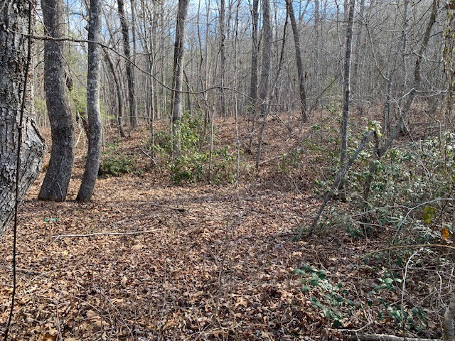 0 Hebbertsburg Road Crab Orchard TN 37723