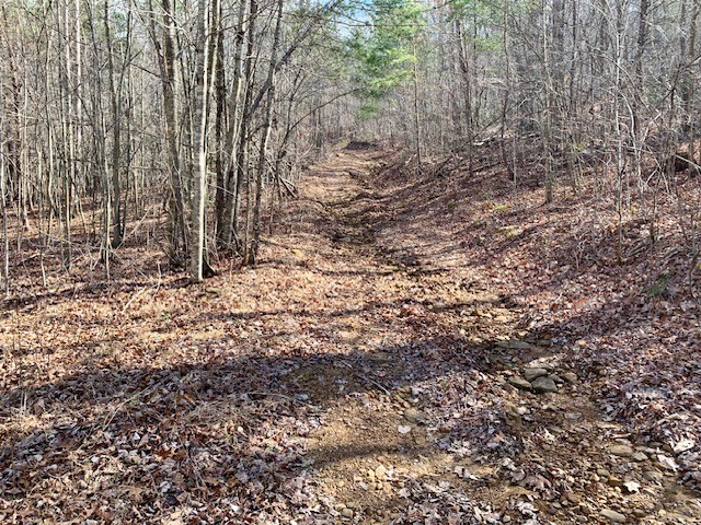0 Hebbertsburg Road Crab Orchard TN 37723