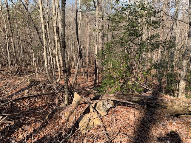 0 Hebbertsburg Road Crab Orchard TN 37723
