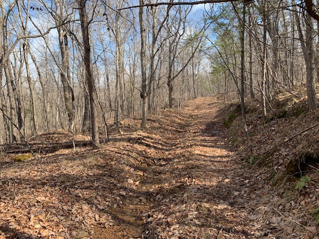 0 Hebbertsburg Road Crab Orchard TN 37723