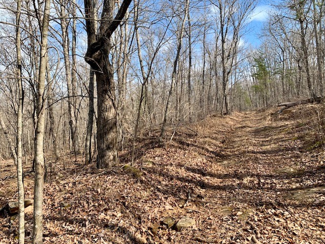 0 Hebbertsburg Road Crab Orchard TN 37723