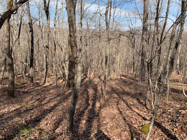 0 Hebbertsburg Road Crab Orchard TN 37723