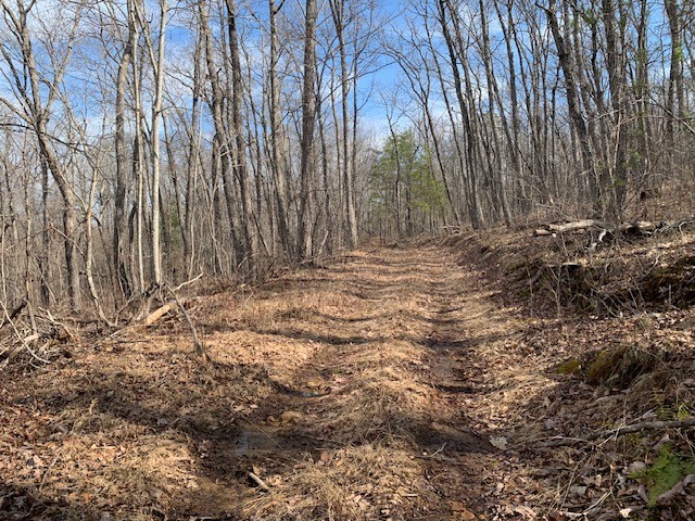 0 Hebbertsburg Road Crab Orchard TN 37723