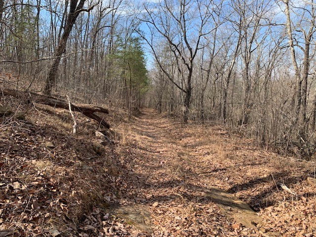 0 Hebbertsburg Road Crab Orchard TN 37723