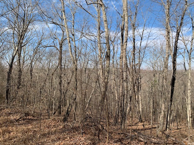0 Hebbertsburg Road Crab Orchard TN 37723